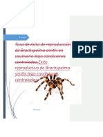 Trabajo Tarantula 26-9-17