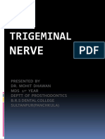 Trigeminal Nerve