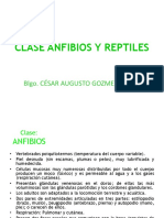 Cordados - Anfibios y Reptiles