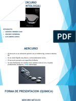 Mercurio Materiales Dentales II