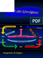 Ciclo Del Nitrogeno