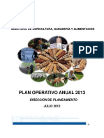 Plan Operativo Anual POA 2013 (MAGA)