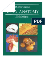 A Colour Atlas of Avian Anatomy