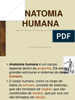 Anatomia Humana