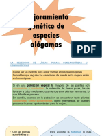 Mejoramiento Genético de Especies Alógamas Grupo 3