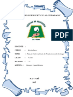 PDF Documento