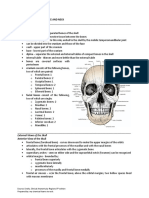 Anatomy of The Head