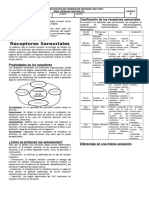 Guia Receptores Sensoriales 8°