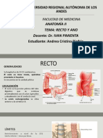 Anatomia Exposicion Recto y Ano