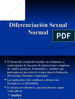 2.1 Diferenciación Sexual Normal