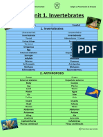 Vocabulary of Invertebrates PDF