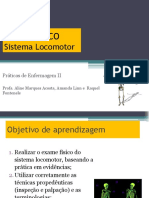 Aula 9 - Ex Fis - Sistema Locomotor