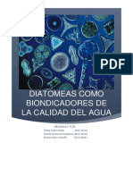 Diatomeas Como Bioindicadores