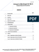 Modelo para Hacer Un Informe Psicologico