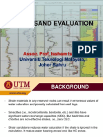 Shaly Sand PDF