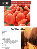 Heme Degradation & Hyperbilirubinemias
