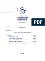 Trabajo Final Hidrología