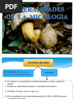 Micologia