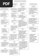 Naturaleza y Alcance de La Antropologia (Mapa Conceptual)