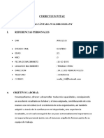 Curriculum Vitae Sossaany