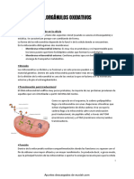 Wuolah Free 5.orgánulos Oxidativos