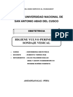 Higiene Perineal y Sondaje Vesical