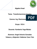 Ensayo Transformaciones Lineales