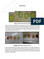 Resultados Frutos