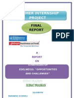 Revised Project On Edelweiss - Soft