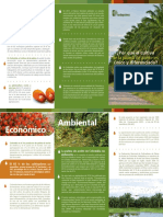 Por Qué El Cultivo de La Palma de Aceite Es Único y Diferenciado 2017