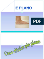 Pie Plano