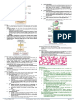 PLE Pathology Cell Injury, Cell Death, and Adaptations