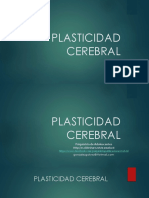 Plasticidadcerebral