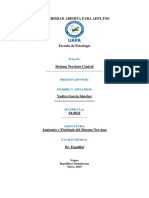 Unidad 1 Anatomia y Fisiologia