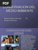 Conservación Del Medio Ambiente