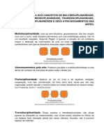 Pesquisa Dos Conceitos de Multidisciplinaridade