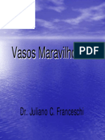 Vasos Maravilhosos