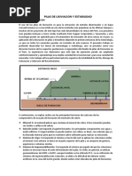 Pilas de Lixiviacion