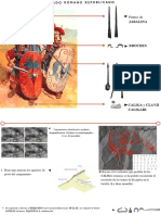 Armas Romanas y Análisis de Los Campamentos