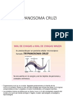 Tripanosoma Cruzi