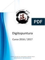 Digitopuntura 2016-2017