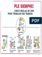 5 Reglas de Oro PDF