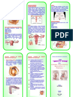 TRIPTICO Aparato Reproductor