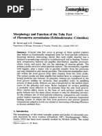 Zoomorphology: Morphology and Function of The Tube Feet of (Echinodermata: Crinoidea)