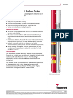 UltraPak Permanent Sealbore Packer