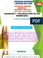 Expocicion de Herbicidas Absocion y Traslocacion