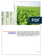 Curcumin Extracts Project