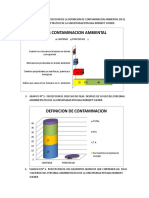 Graficos en Word de Contaminacion