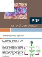 Biologia e Geologia - 10º Ano - Obtenção de Energia