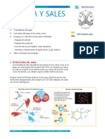 Apuntes Bioquc3admica Extendidos